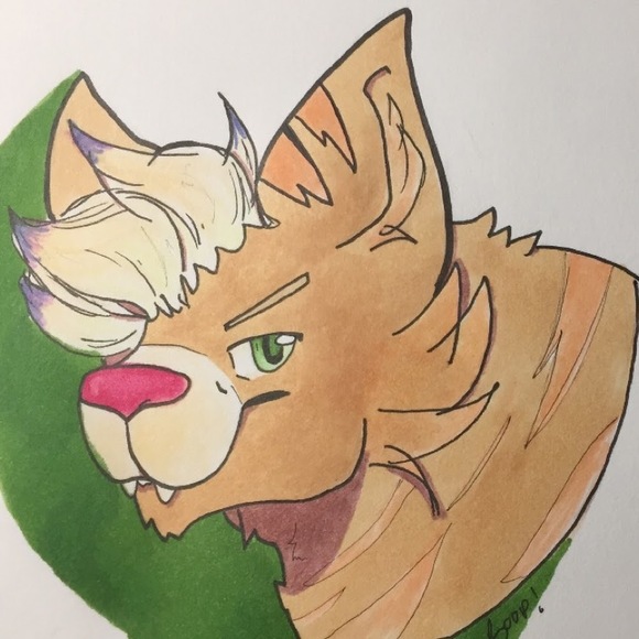 Meet your Posher, Jared - Picture 1 of 1